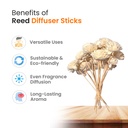 Flower Reed Diffuser Sticks (10 pcs)