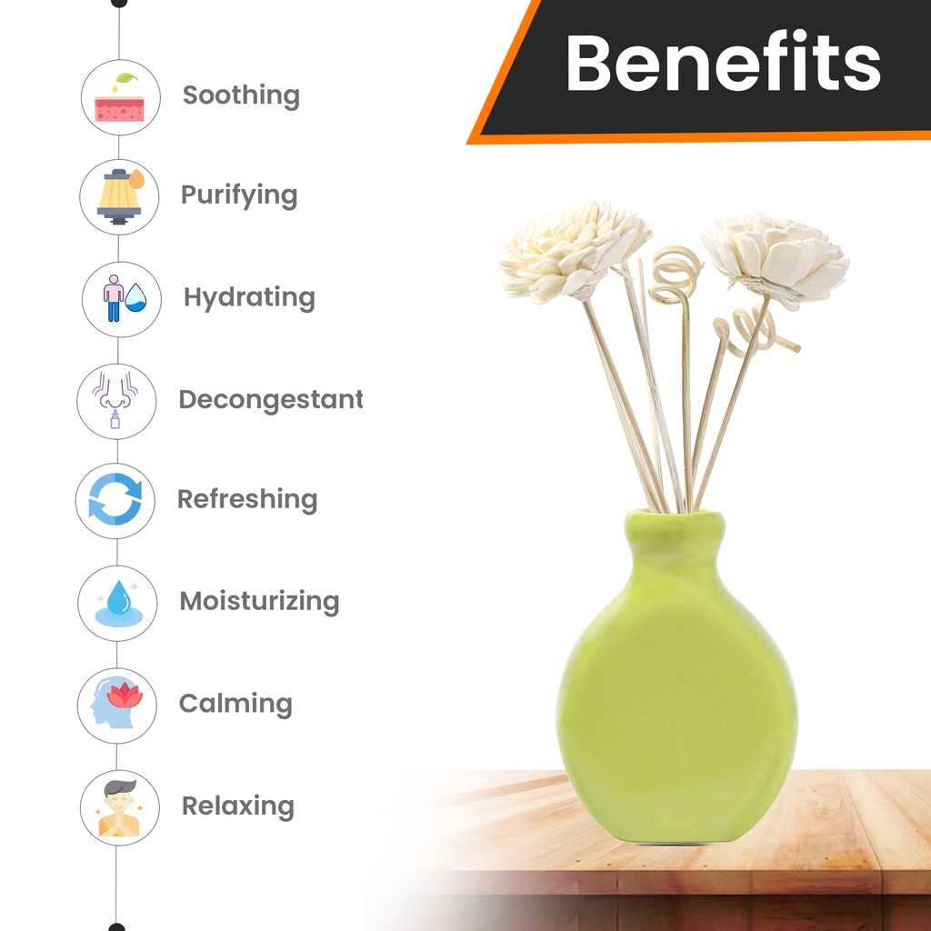 Green Ceramic Reed Diffuser Set -  Split