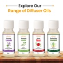 Green Ceramic Reed Diffuser Set -  Round